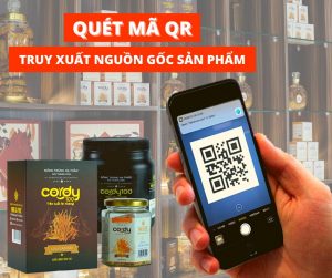Quét mã qrcode để truy xuất nguồn gốc của sản phẩm Cordy100
