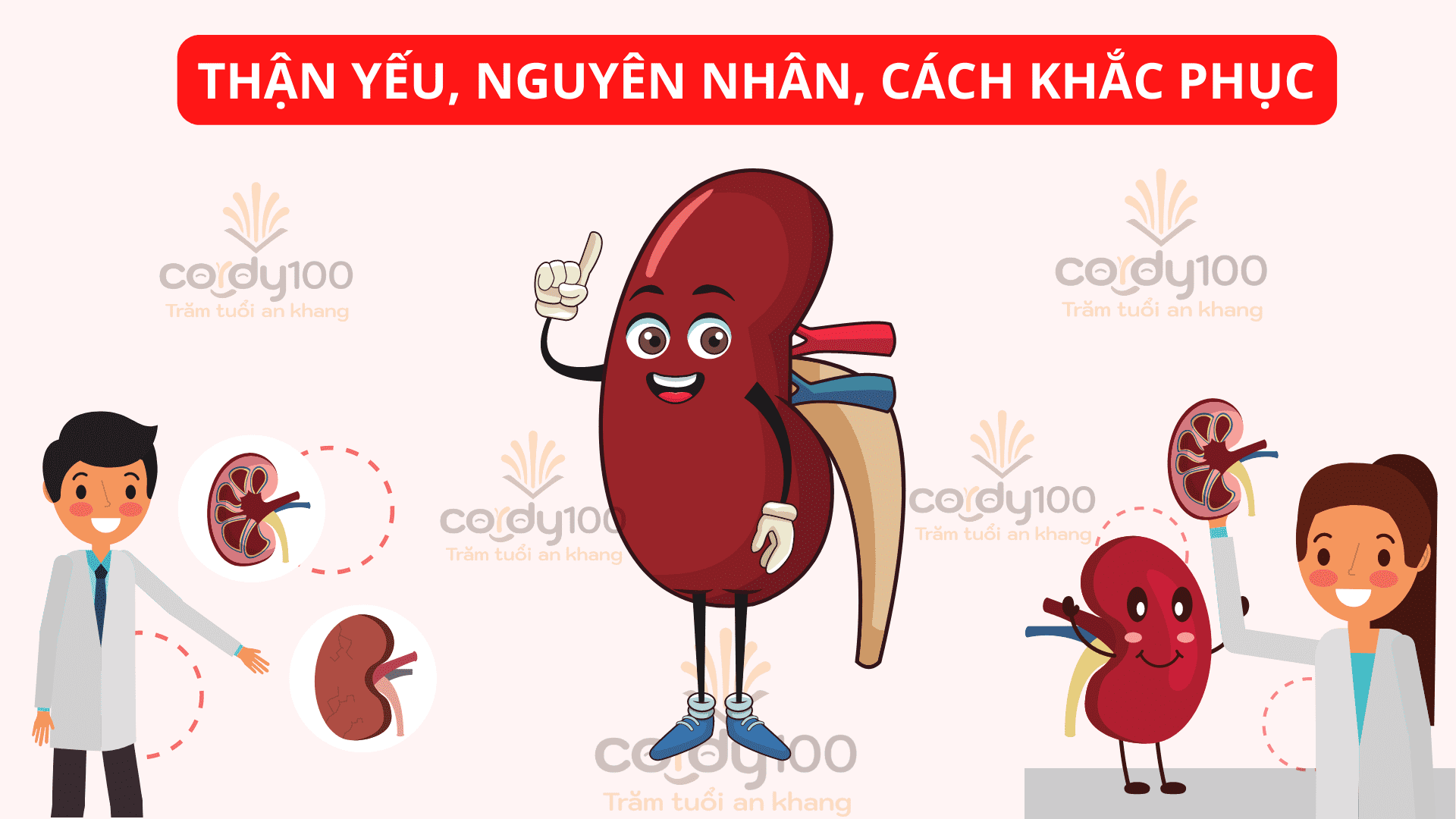 Dấu hiệu thận yếu, nguyên nhân và cách khắc phục